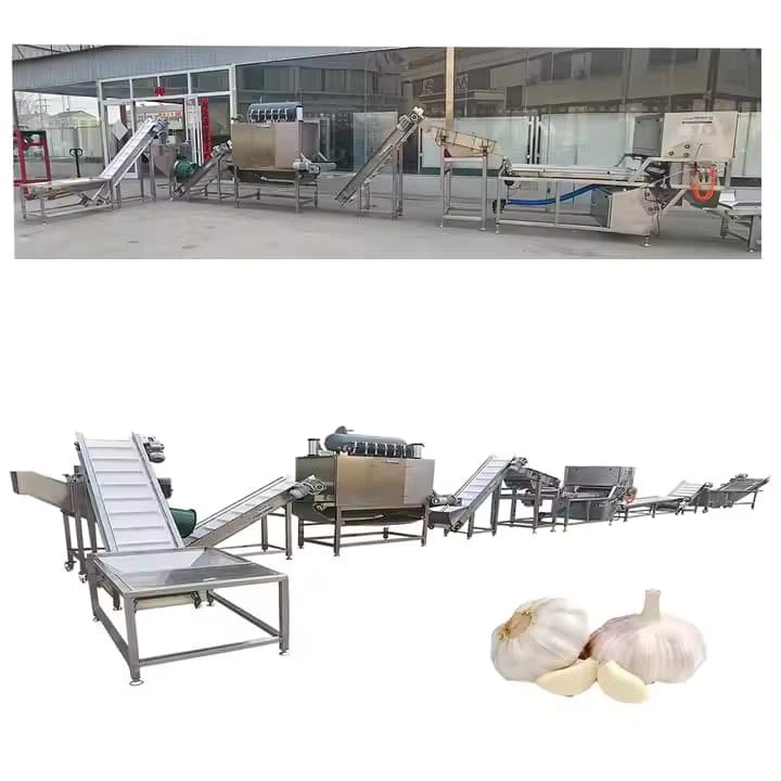 Garlic Bulb Break Industrial Automatic Ginger Make Separate Peeler Peel Machine And Product Line in Egypt