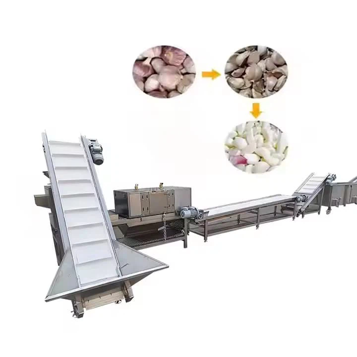 Garlic Bulb Break Industrial Automatic Ginger Make Separate Peeler Peel Machine And Product Line in Egypt