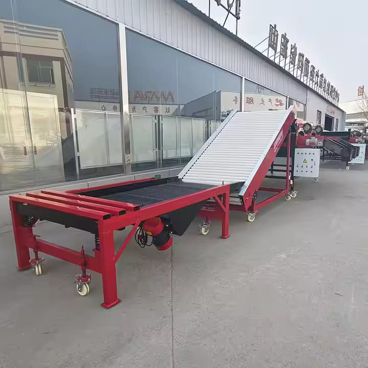 Comapany Equioment High Efficiency Garlic Sorter med vægtkaraktering 380V Motor ISO9001 Certificeret hvidløgstørrelse og sortering