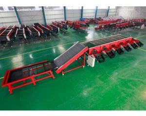 Hvidløg gradering Machine