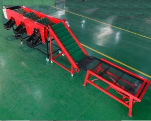 Stor frugt- og grøntsagssektoren sortering maskine