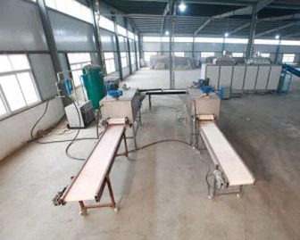 Stor hvidløgsproduktionslinie